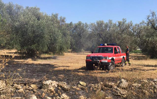 vigili del fuoco incendio campagna