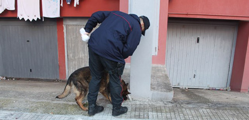 carabinieri antidroga